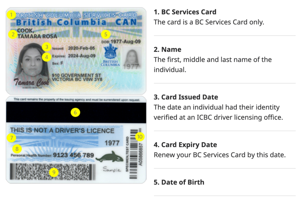 カナダに到着後すぐにやる10の手続き【ワーホリ・移住のToDo】